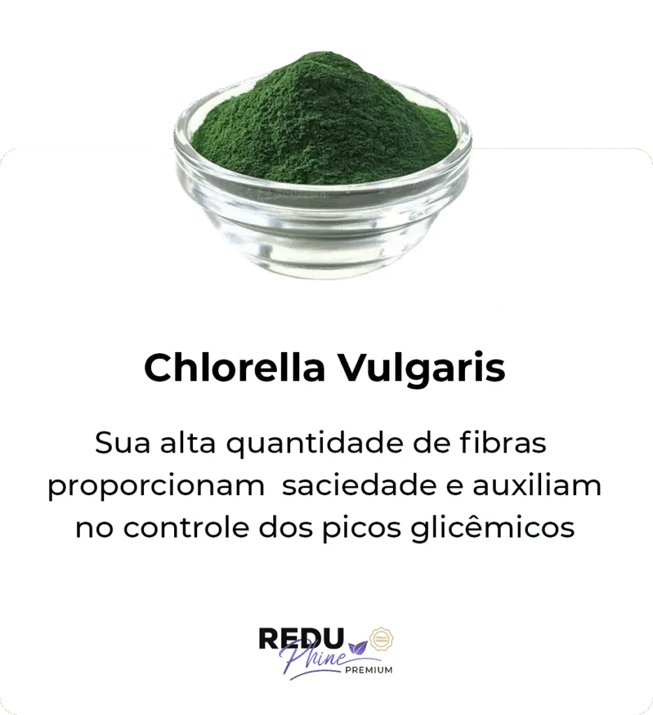 i-Chlorella-Vulgaris-934x1024