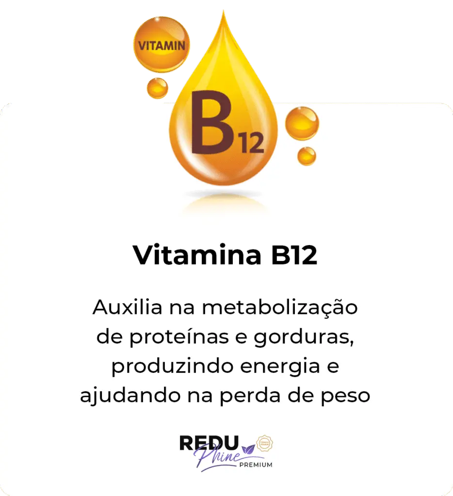 i-Vitamina-b12-934x1024